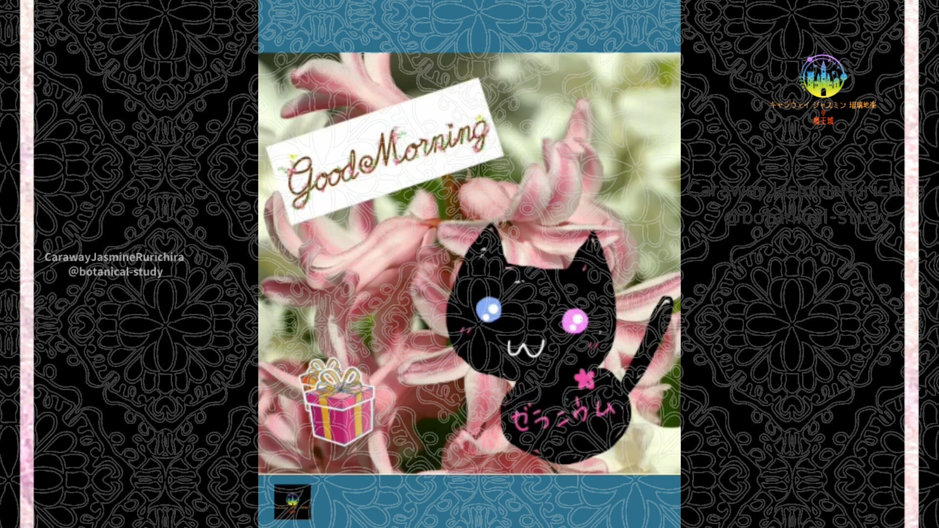 12月3日誕生花ヒヤシンスby Cジャスミン瑠璃地楽 | botanical-study.com