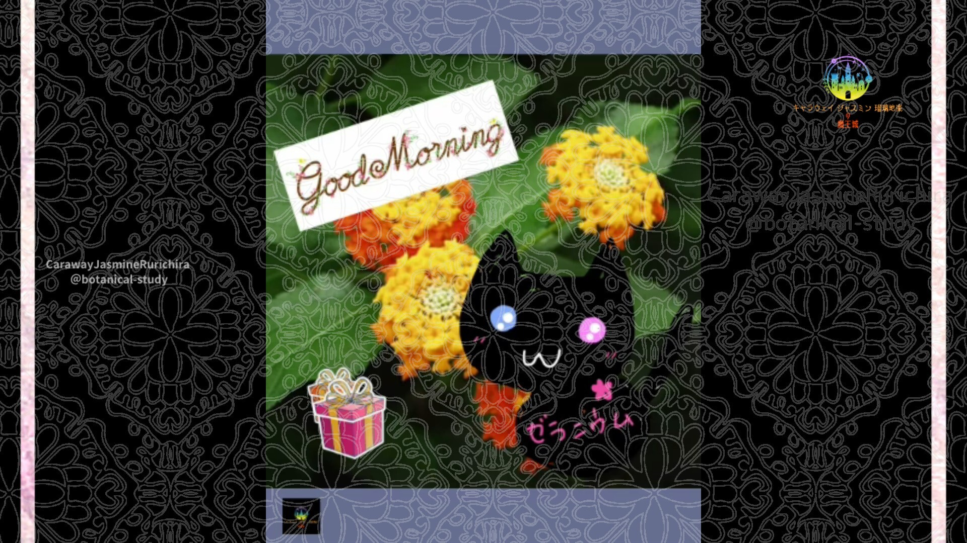 12月9日誕生花ガーリックパインby Cジャスミン瑠璃地楽 | botanical-study.com