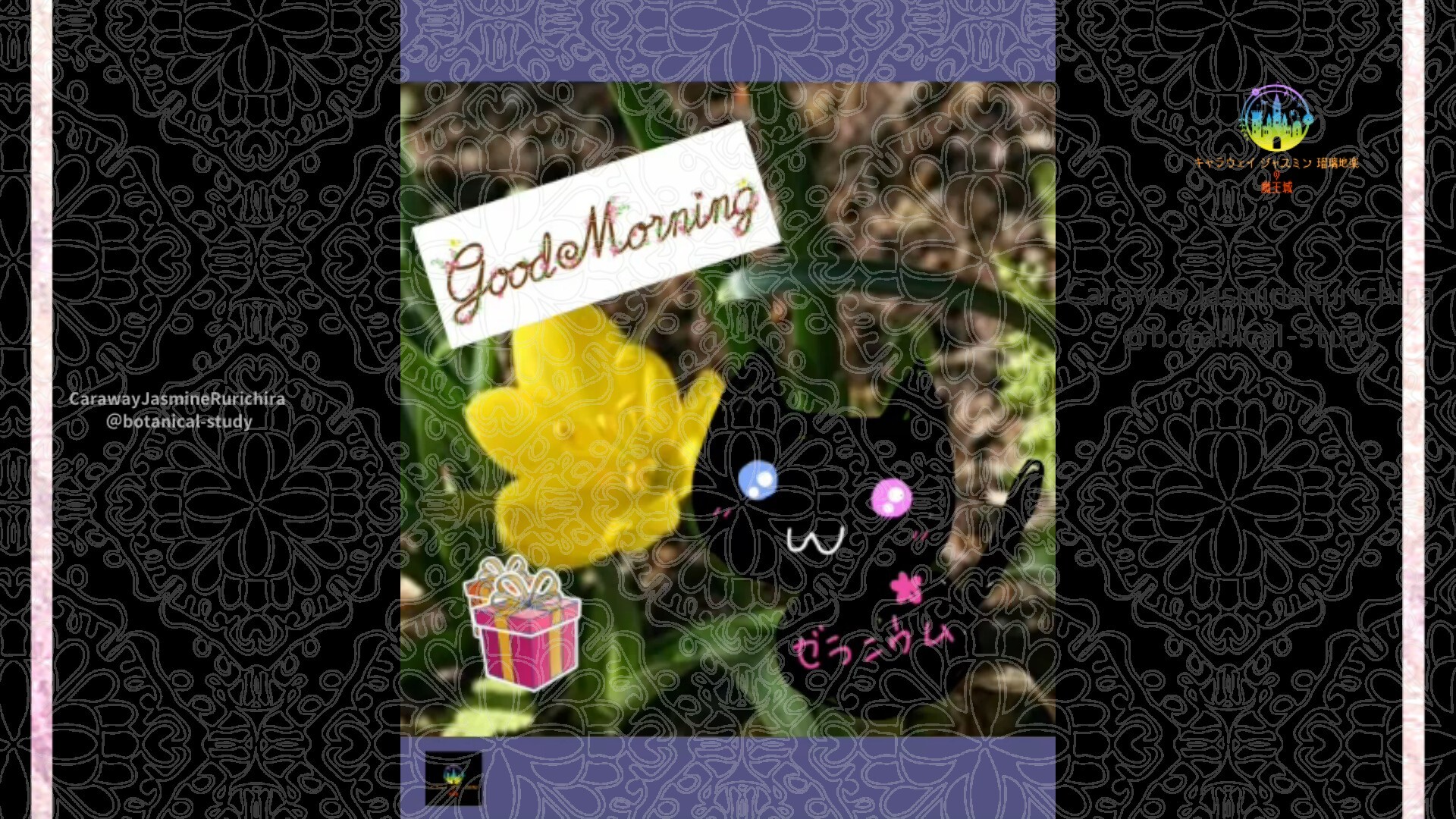 12月8日誕生花カロライナジャスミンby Cジャスミン瑠璃地楽 | botanical-study.com