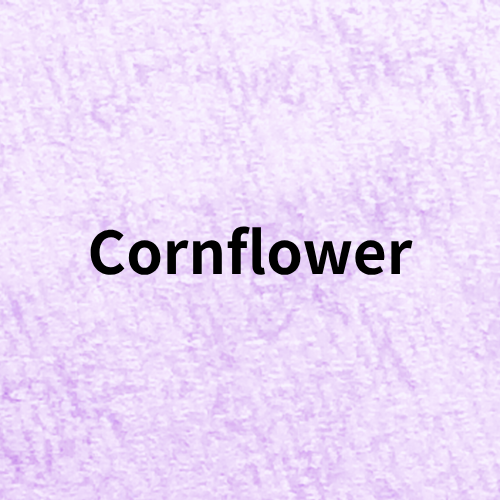 Cornflower Quiz(Herb)＠botanical-study.com