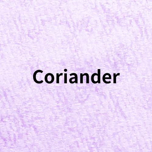 Coriander Quiz＠botanical-study.com