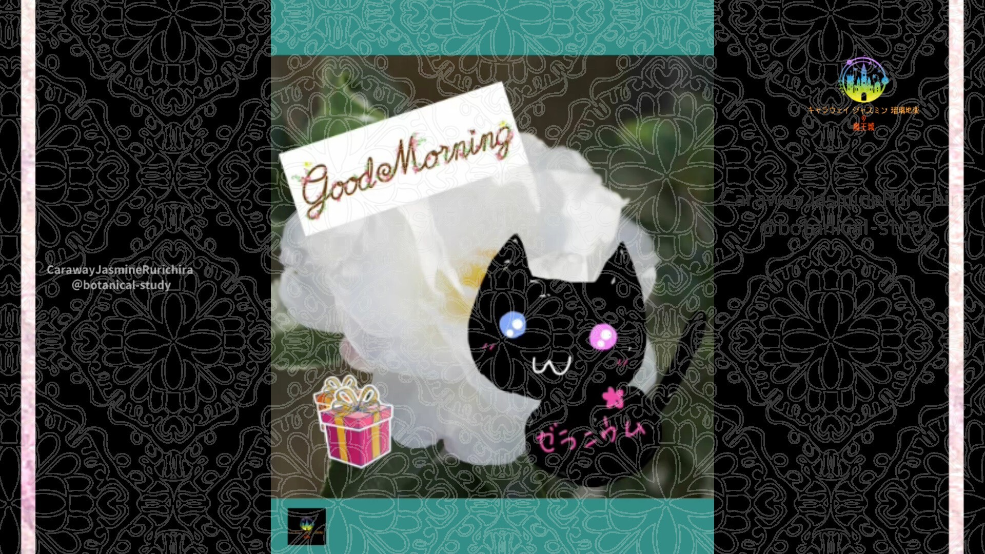 12月10日誕生花サザンカby Cジャスミン瑠璃地楽 | botanical-study.com