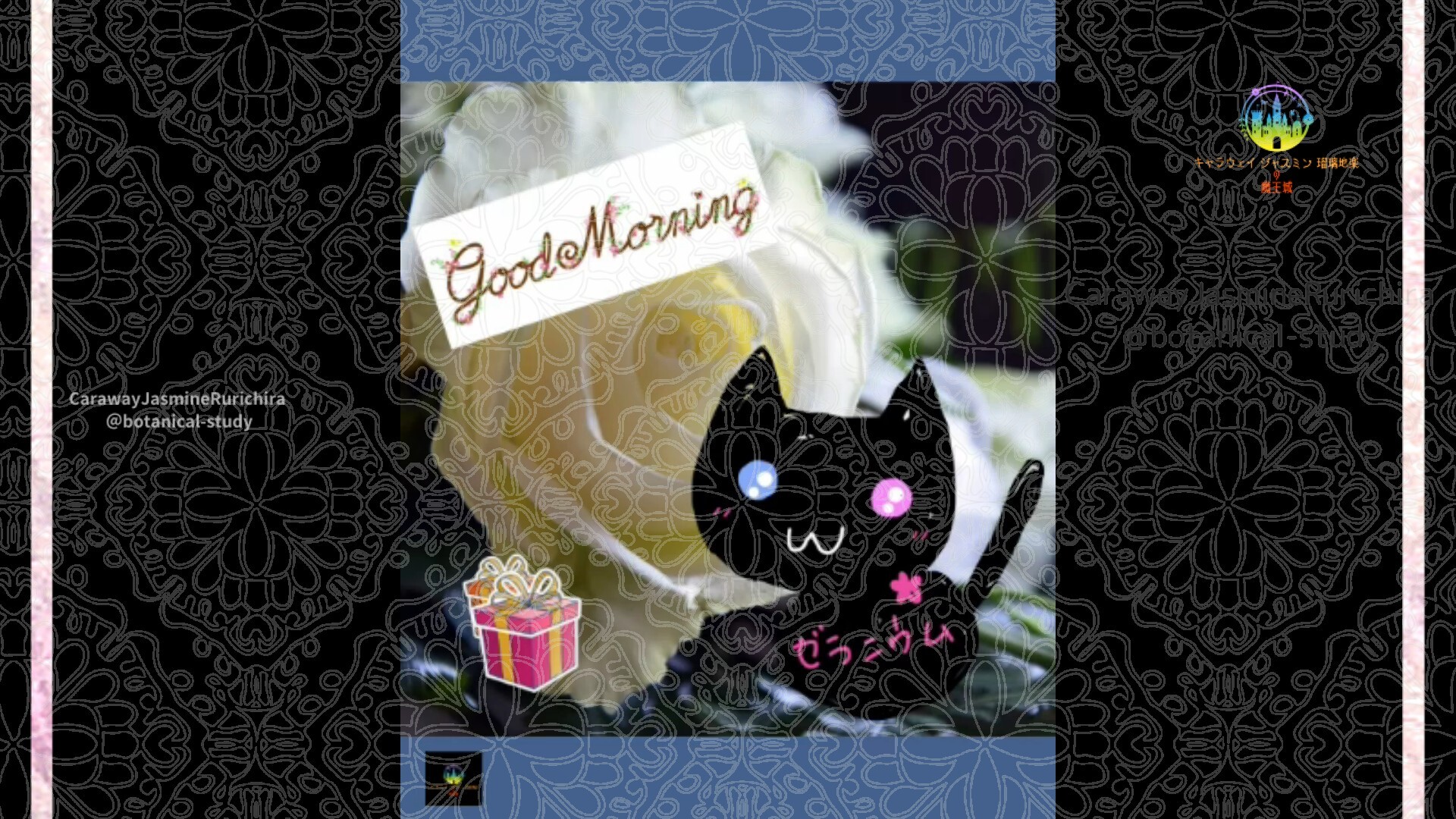 12月11日誕生花バラ白by Cジャスミン瑠璃地楽 | botanical-study.com