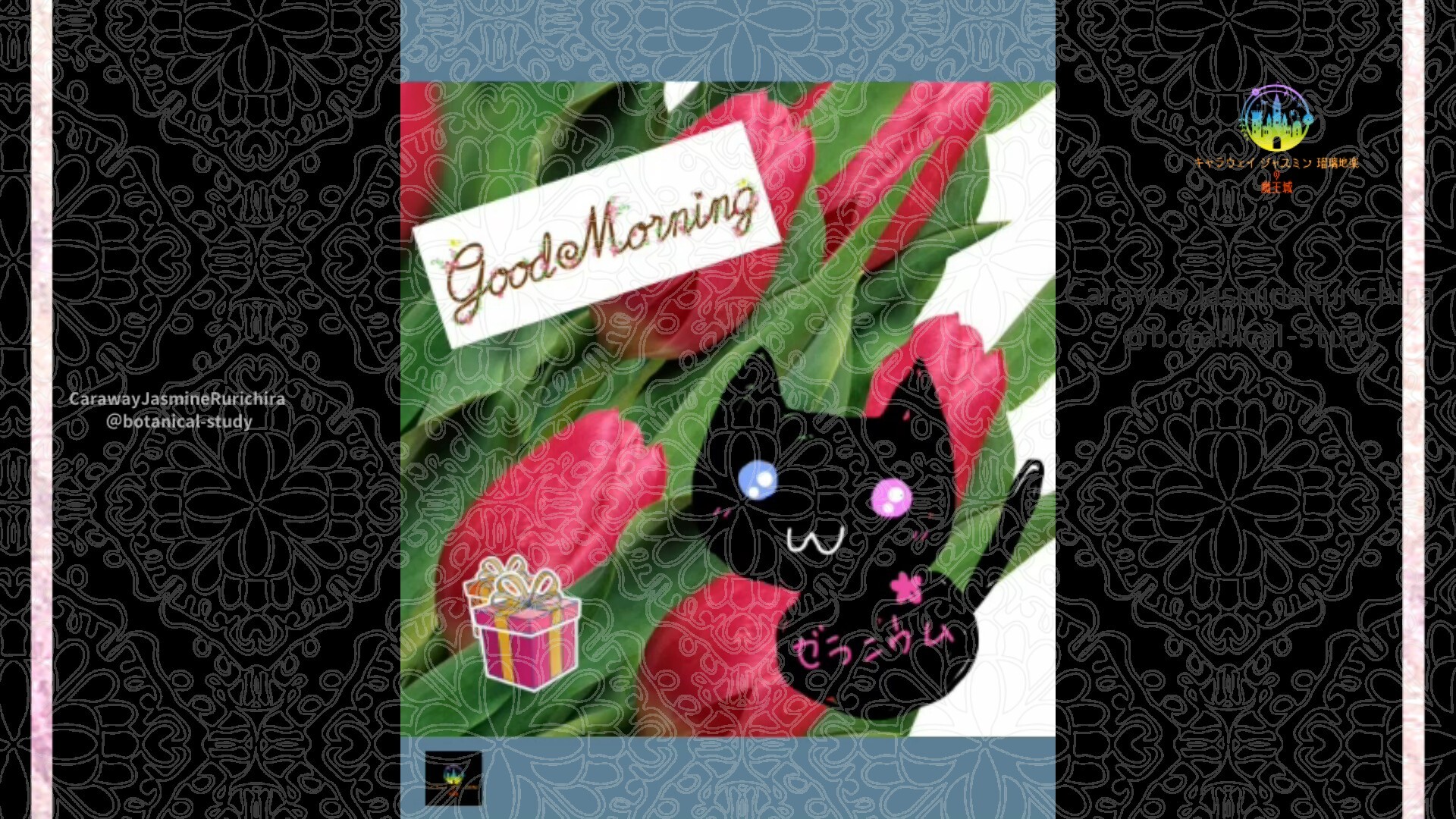 12月15日誕生花チューリップby Cジャスミン瑠璃地楽 | botanical-study.com