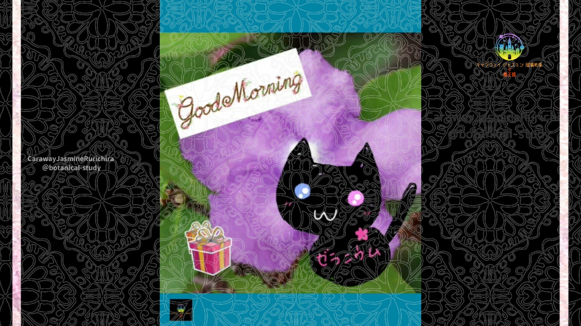 12月21日誕生花ニオイバンマツリ