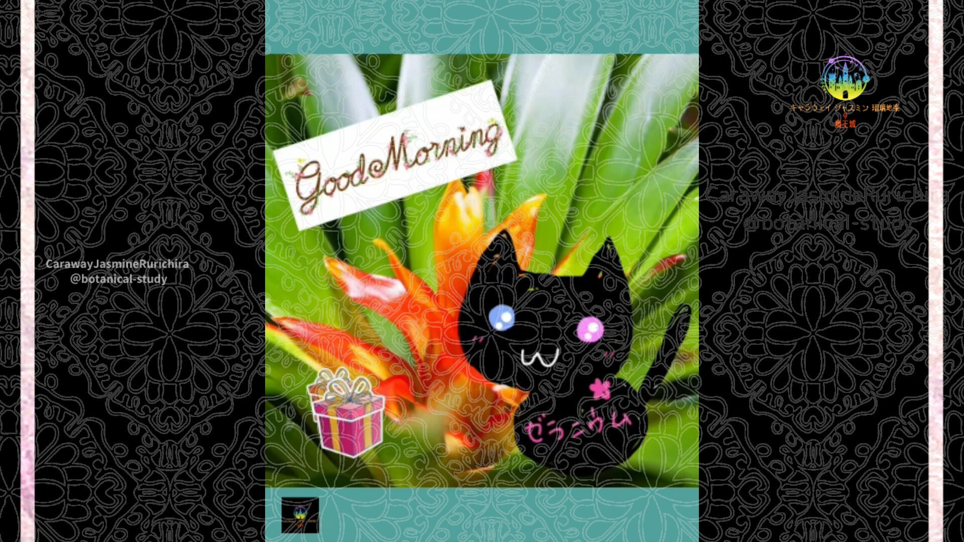 12月19日誕生花アナナスby Cジャスミン瑠璃地楽 | botanical-study.com