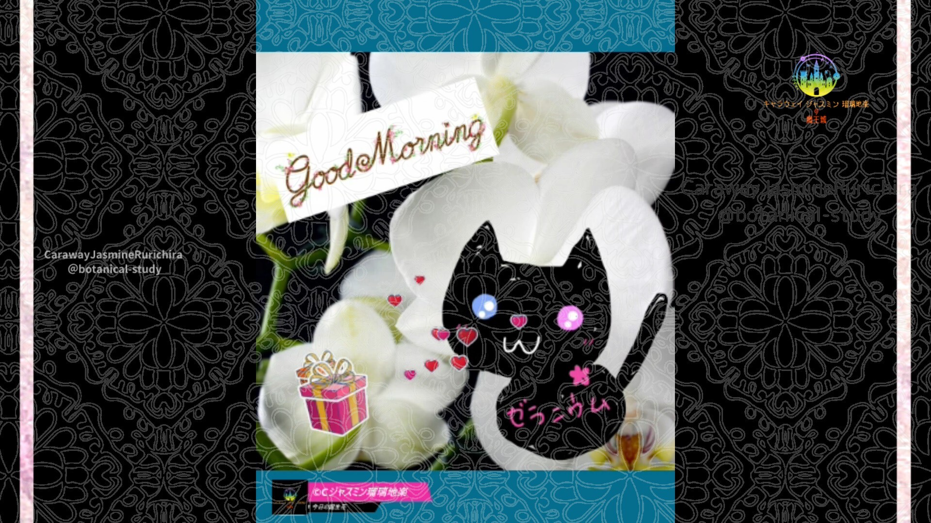 12月27日誕生花ランby Cジャスミン瑠璃地楽 | botanical-study.com