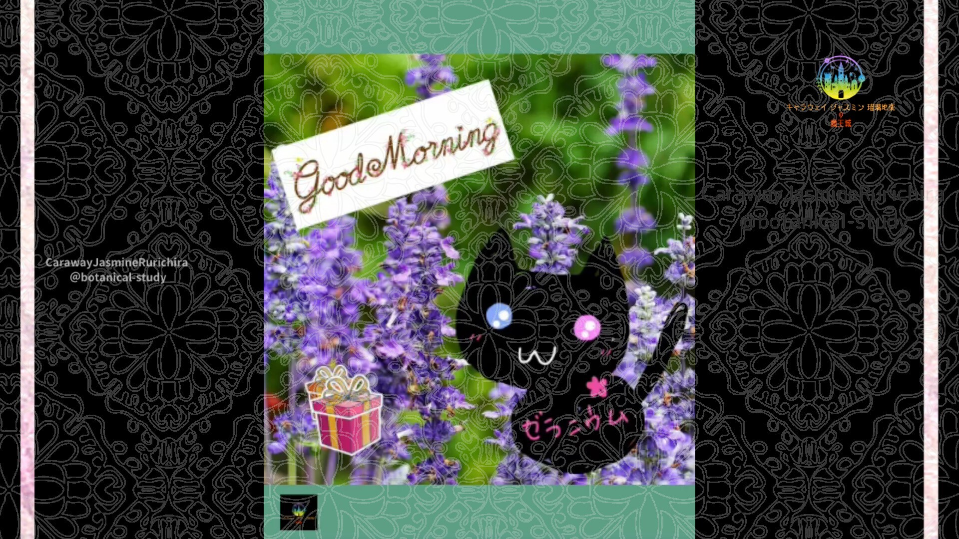 12月24日誕生花セージby Cジャスミン瑠璃地楽 | botanical-study.com