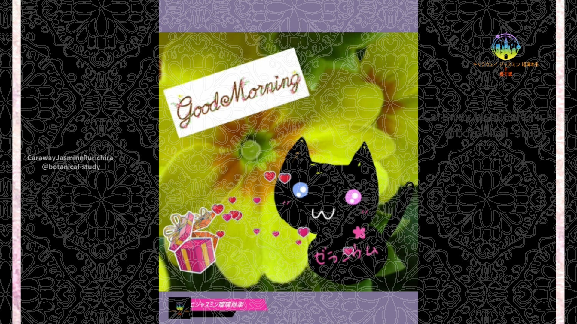 12月29日誕生花プリムラジュリアンby Cジャスミン瑠璃地楽 | botanical-study.com