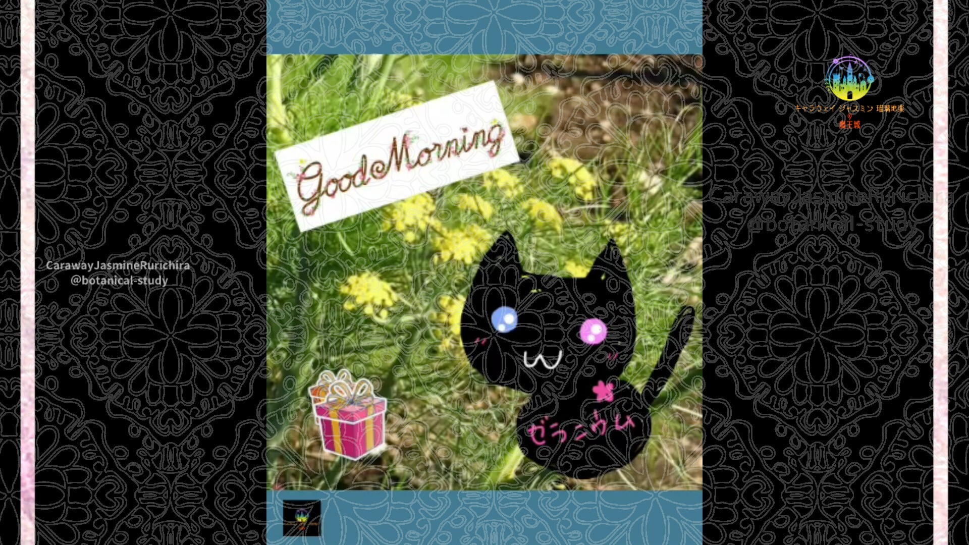 12月26日誕生花ディルby Cジャスミン瑠璃地楽 | botanical-study.com