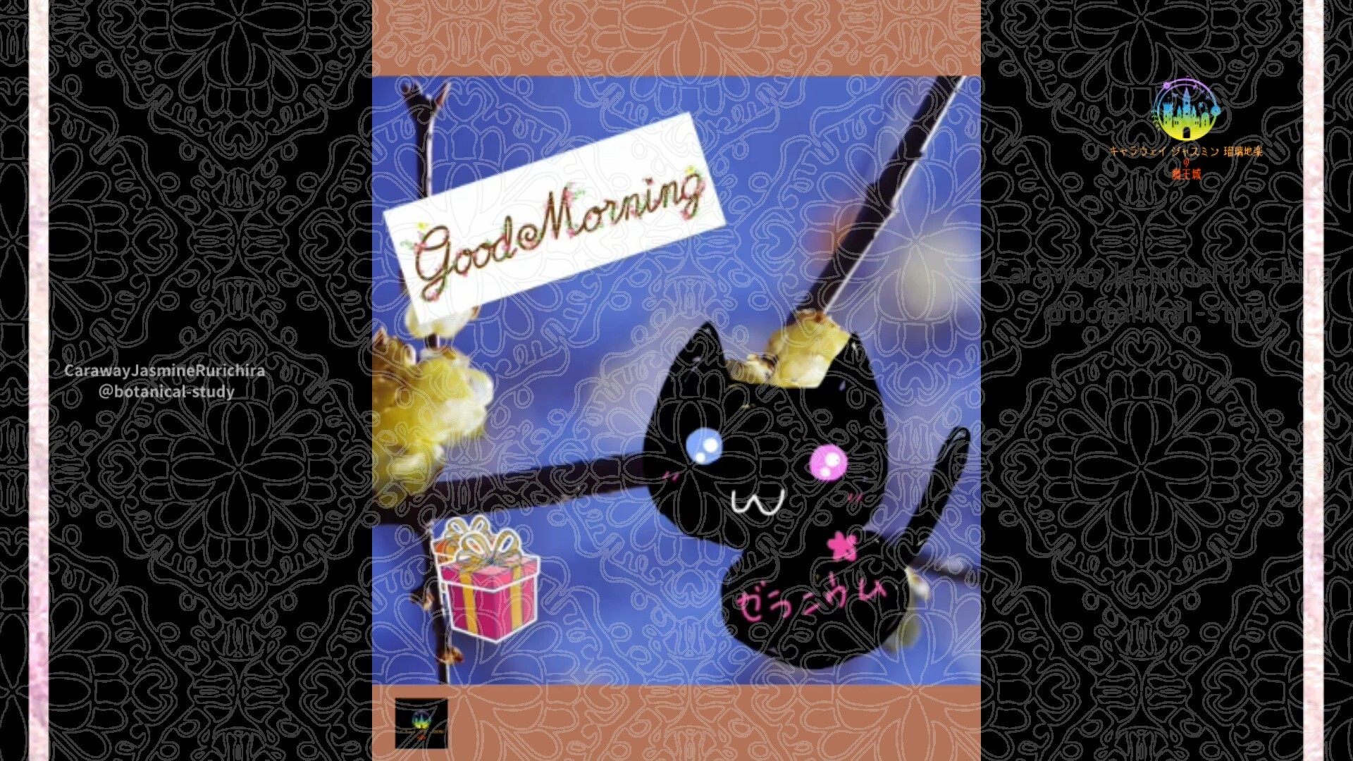 12月30日誕生花ロウバイby Cジャスミン瑠璃地楽 | botanical-study.com