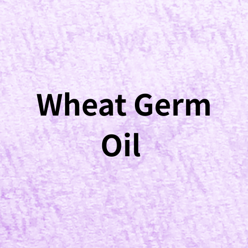 Wheat Germ Oil  ＠botanical-study.com