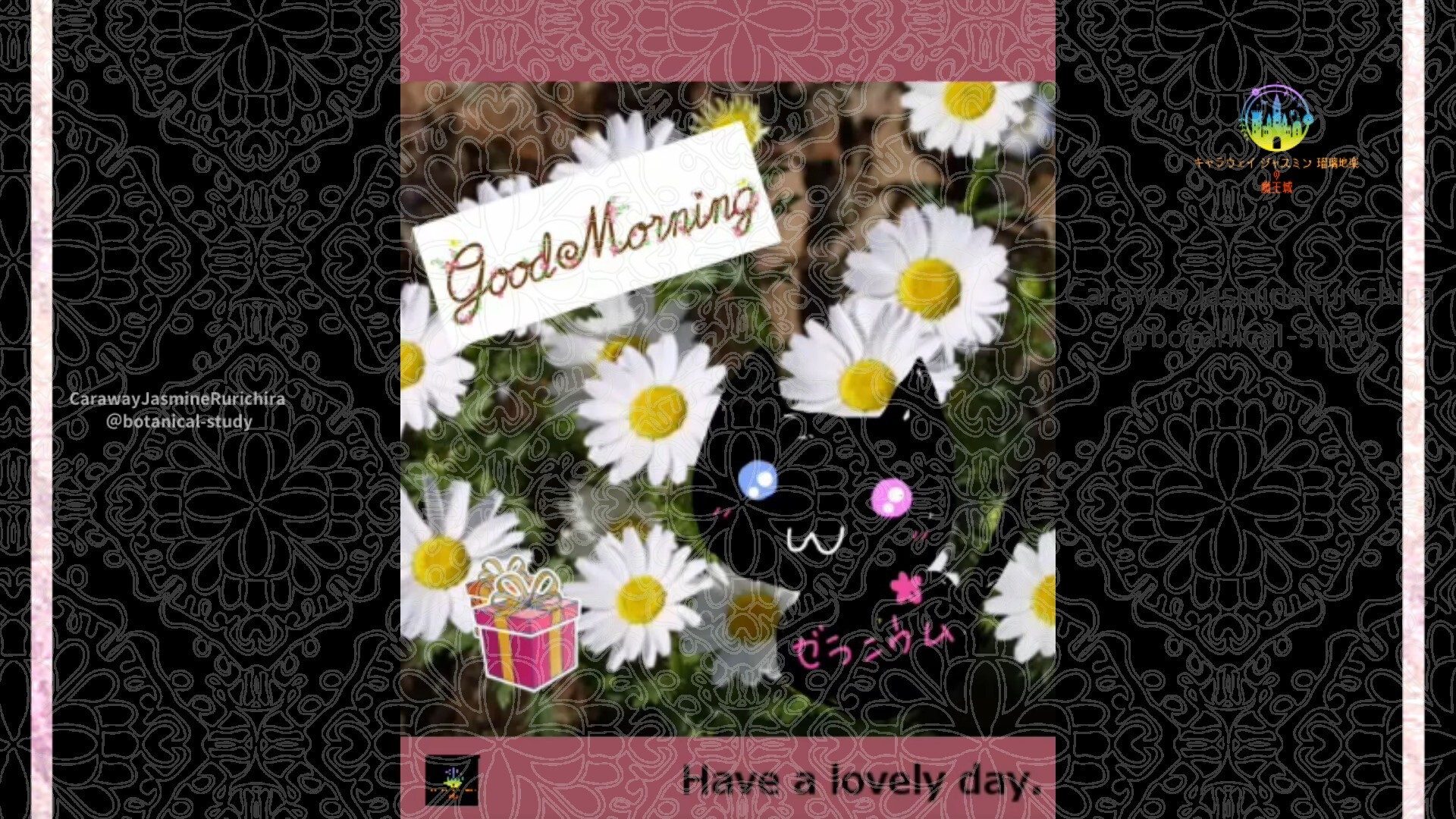 1月9日誕生花ノースポールby Cジャスミン瑠璃地楽 | botanical-study.com