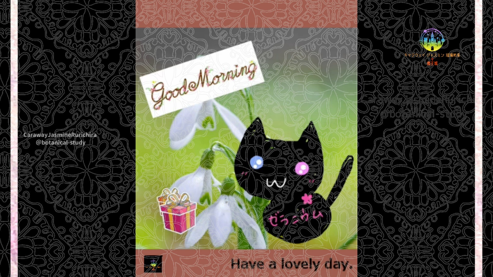 近日公開予定by Cジャスミン瑠璃地楽 | botanical-study.com