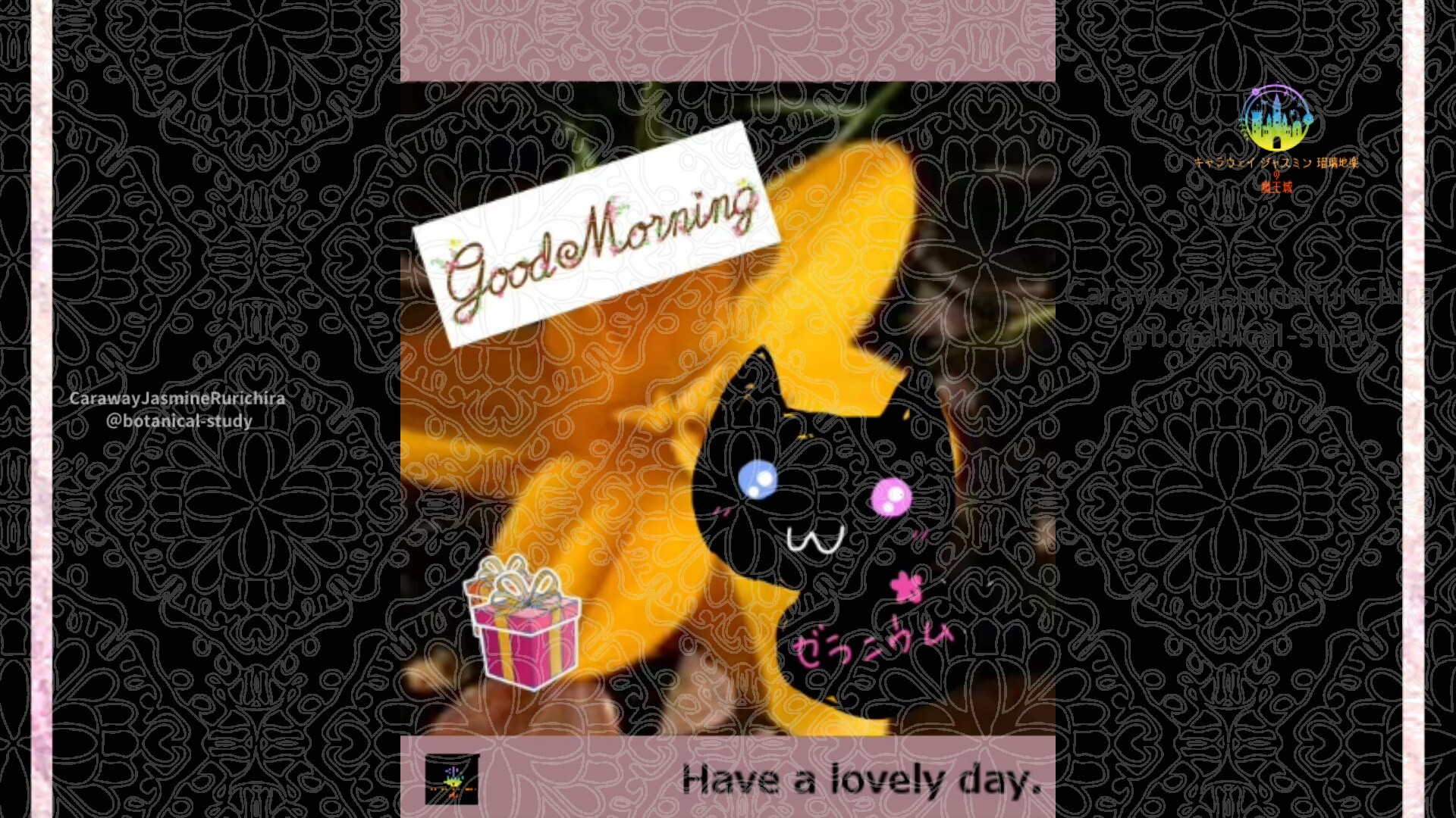 1月5日誕生花クロッカスby Cジャスミン瑠璃地楽 | botanical-study.com