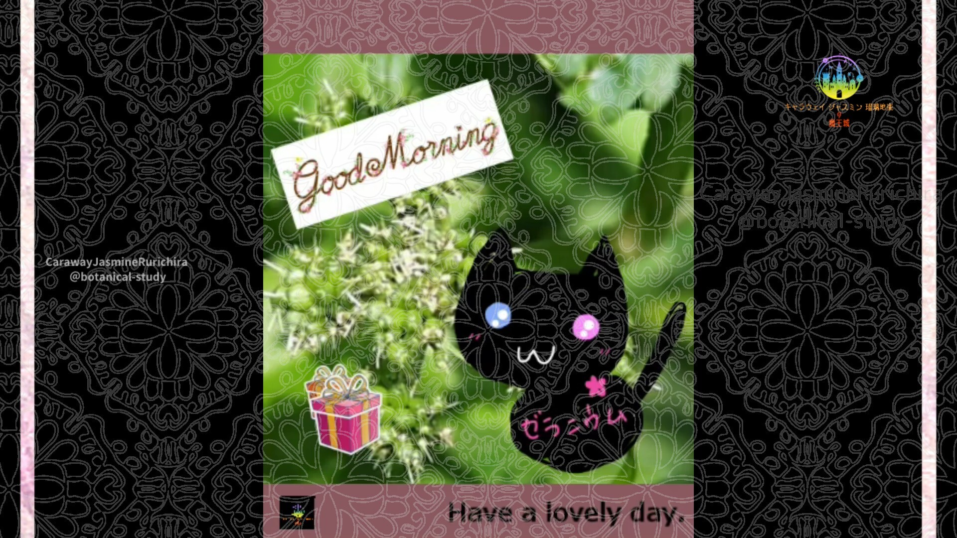 1月7日誕生花セリby Cジャスミン瑠璃地楽 | botanical-study.com