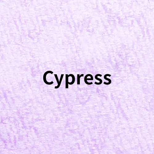 Cypress Quiz＠botanical-study.com