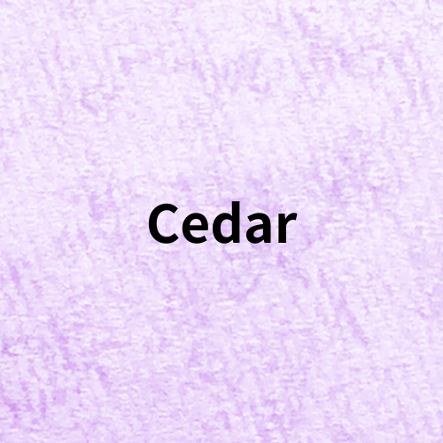 Cedar Quiz＠botanical-study.com