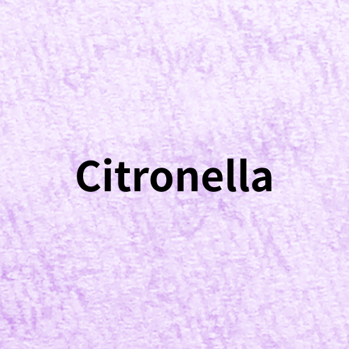 Citronella Quiz＠botanical-study.com