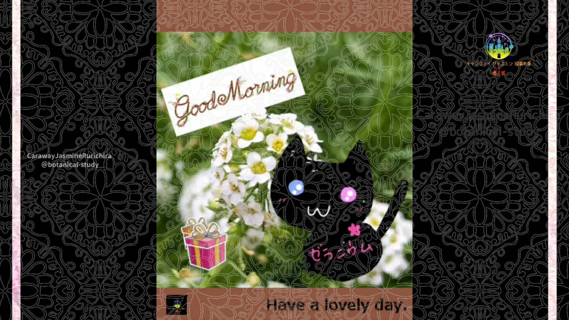 by Cジャスミン瑠璃地楽 | botanical-study.com