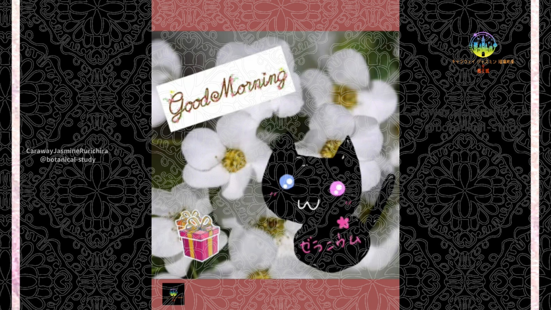 1月19日誕生花ユキヤナギby Cジャスミン瑠璃地楽 | botanical-study.com