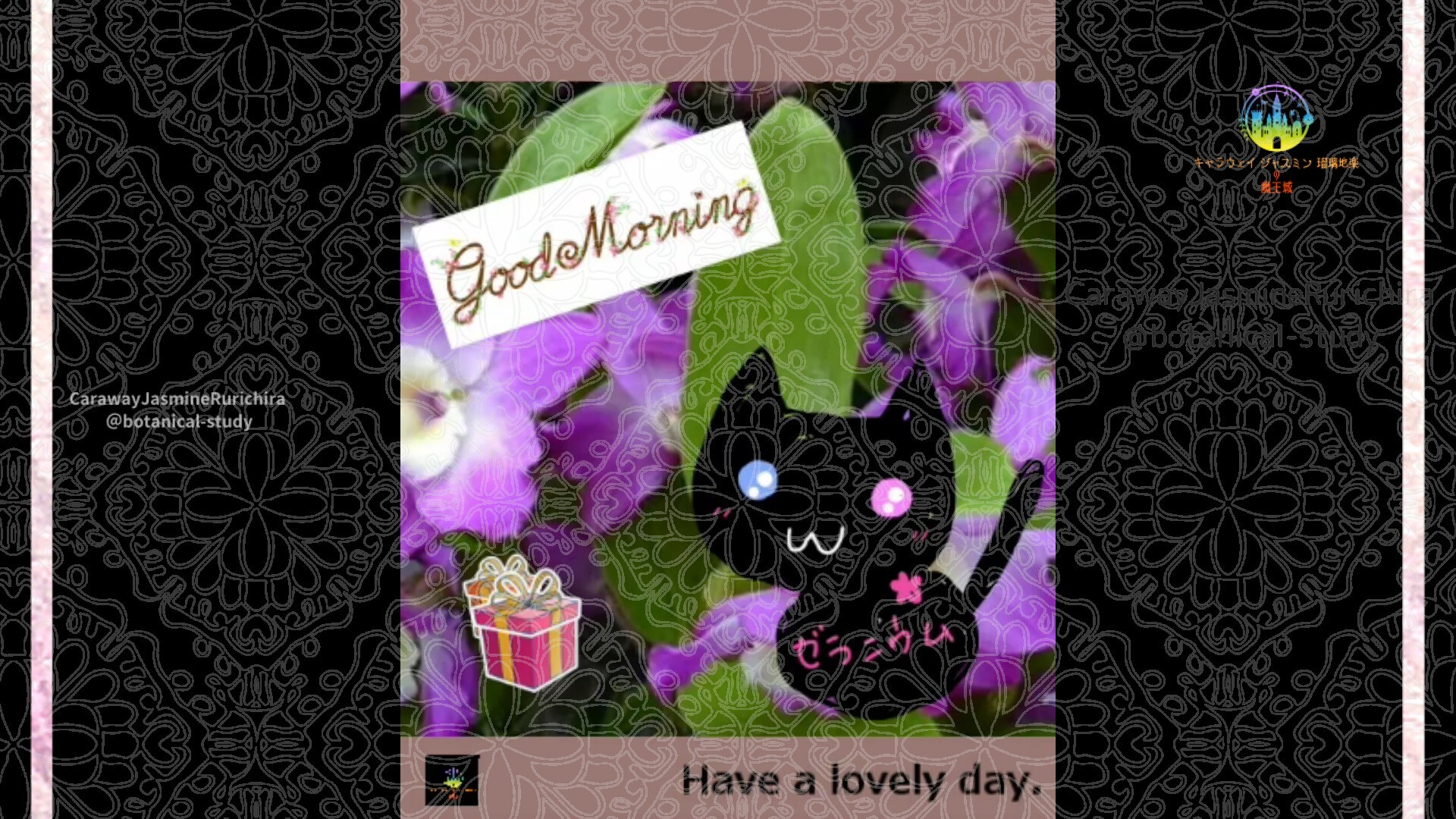 1月16日誕生花デンドロビウムby Cジャスミン瑠璃地楽 | botanical-study.com