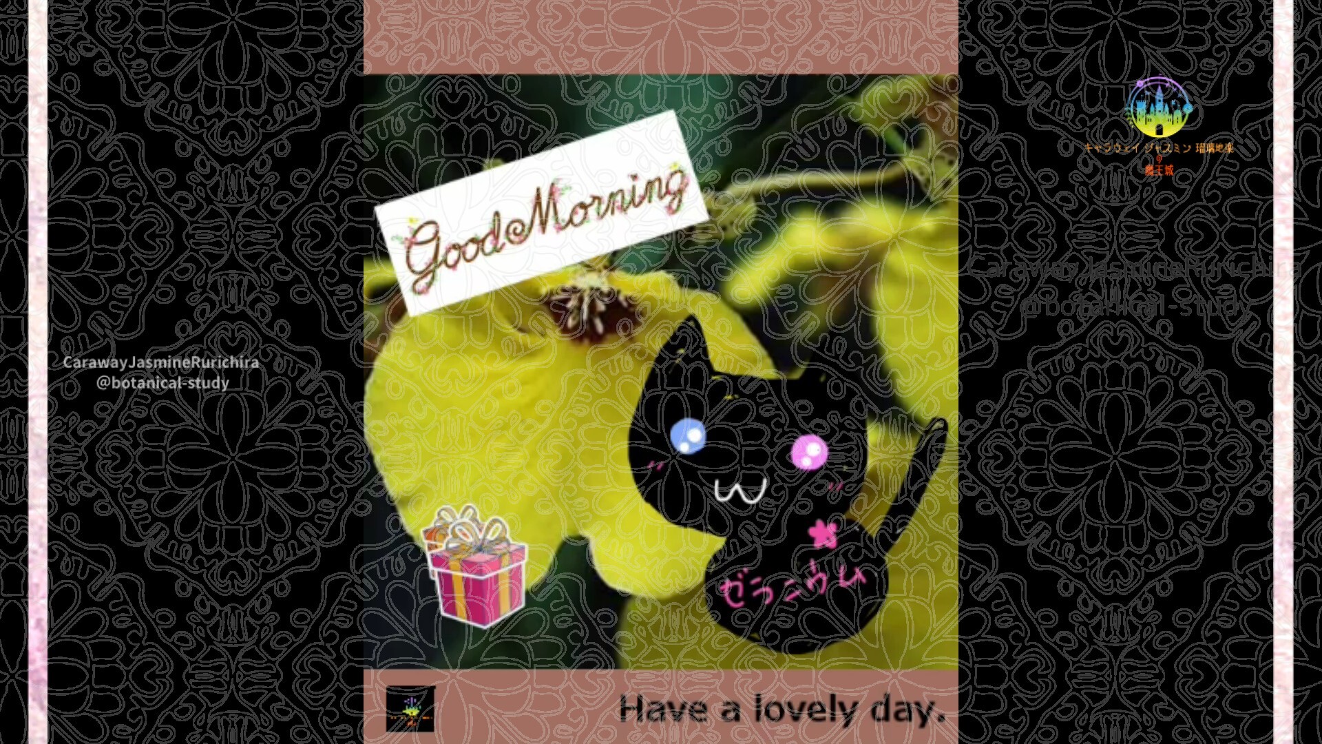 1月15日誕生花オレンジウムby Cジャスミン瑠璃地楽 | botanical-study.com