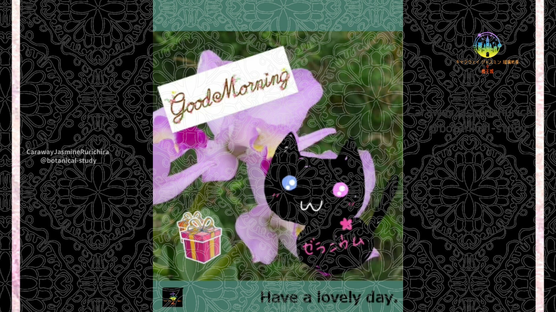 1月13日誕生花カトレアby Cジャスミン瑠璃地楽 | botanical-study.com