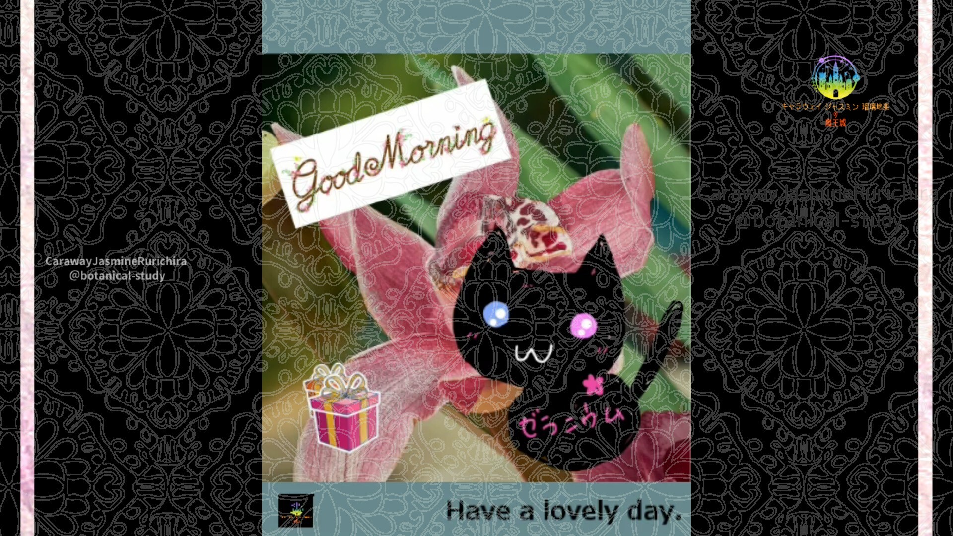 1月14日誕生花シンビジウムby Cジャスミン瑠璃地楽 | botanical-study.com