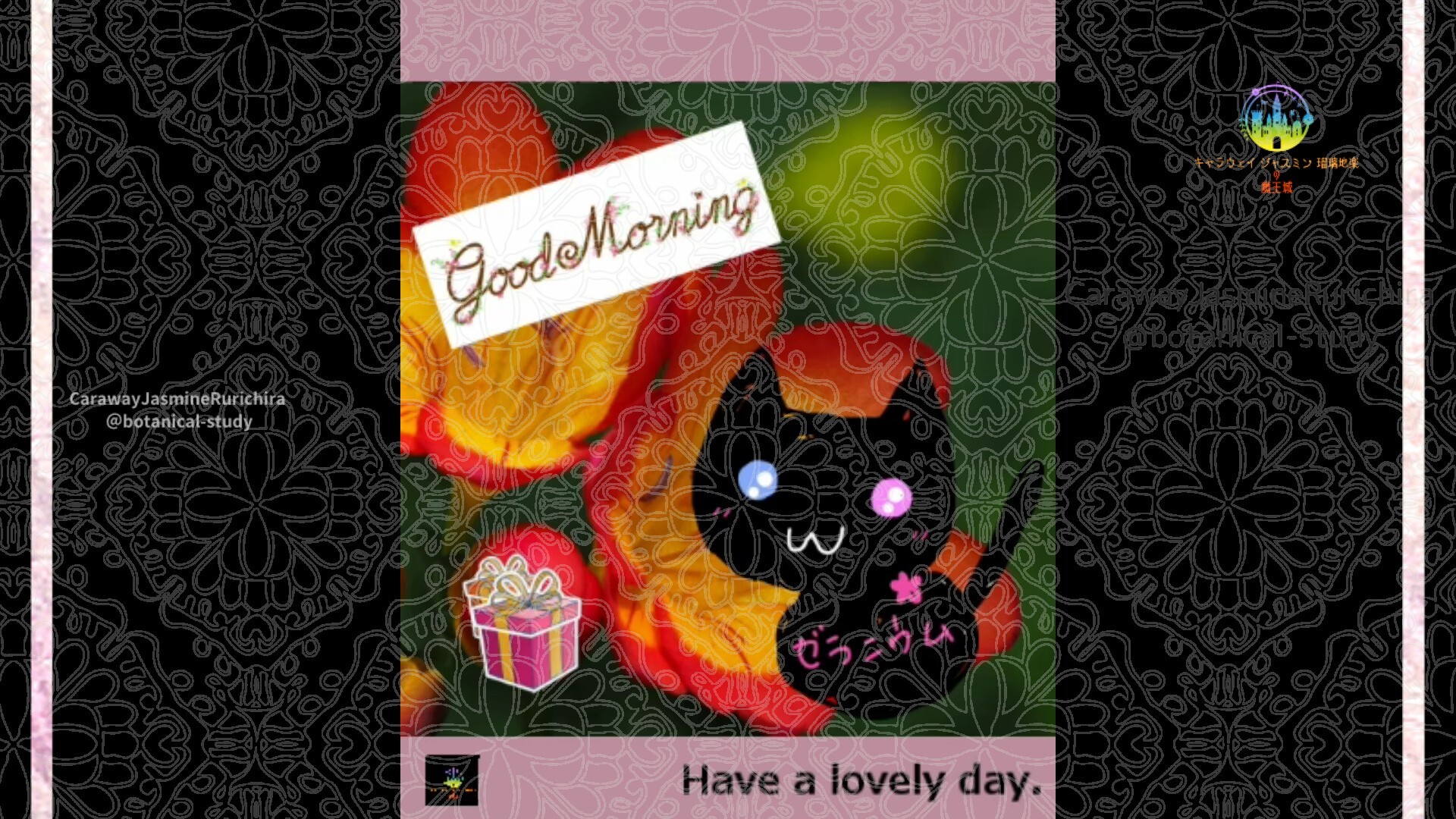 1月24日誕生花フリージアby Cジャスミン瑠璃地楽 | botanical-study.com