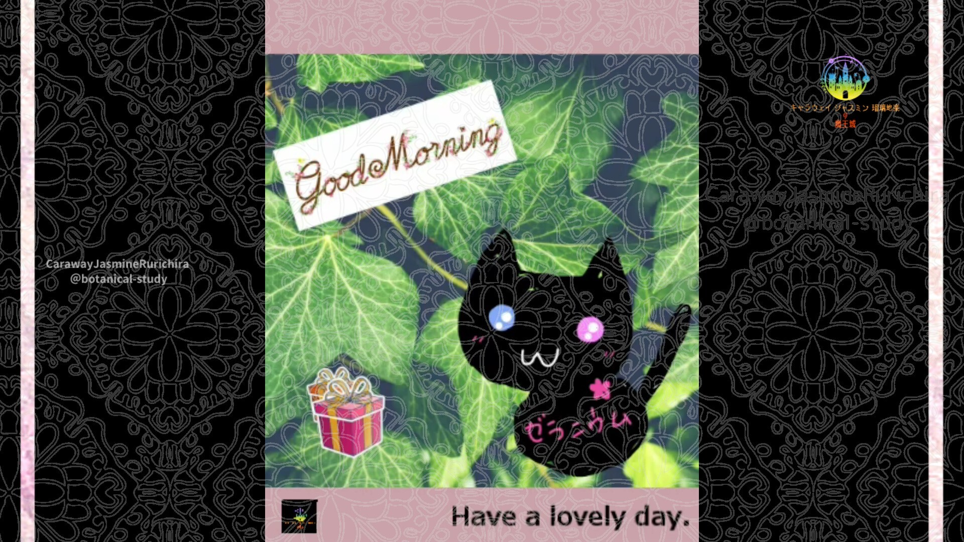 1月21日誕生花アイビーby Cジャスミン瑠璃地楽 | botanical-study.com