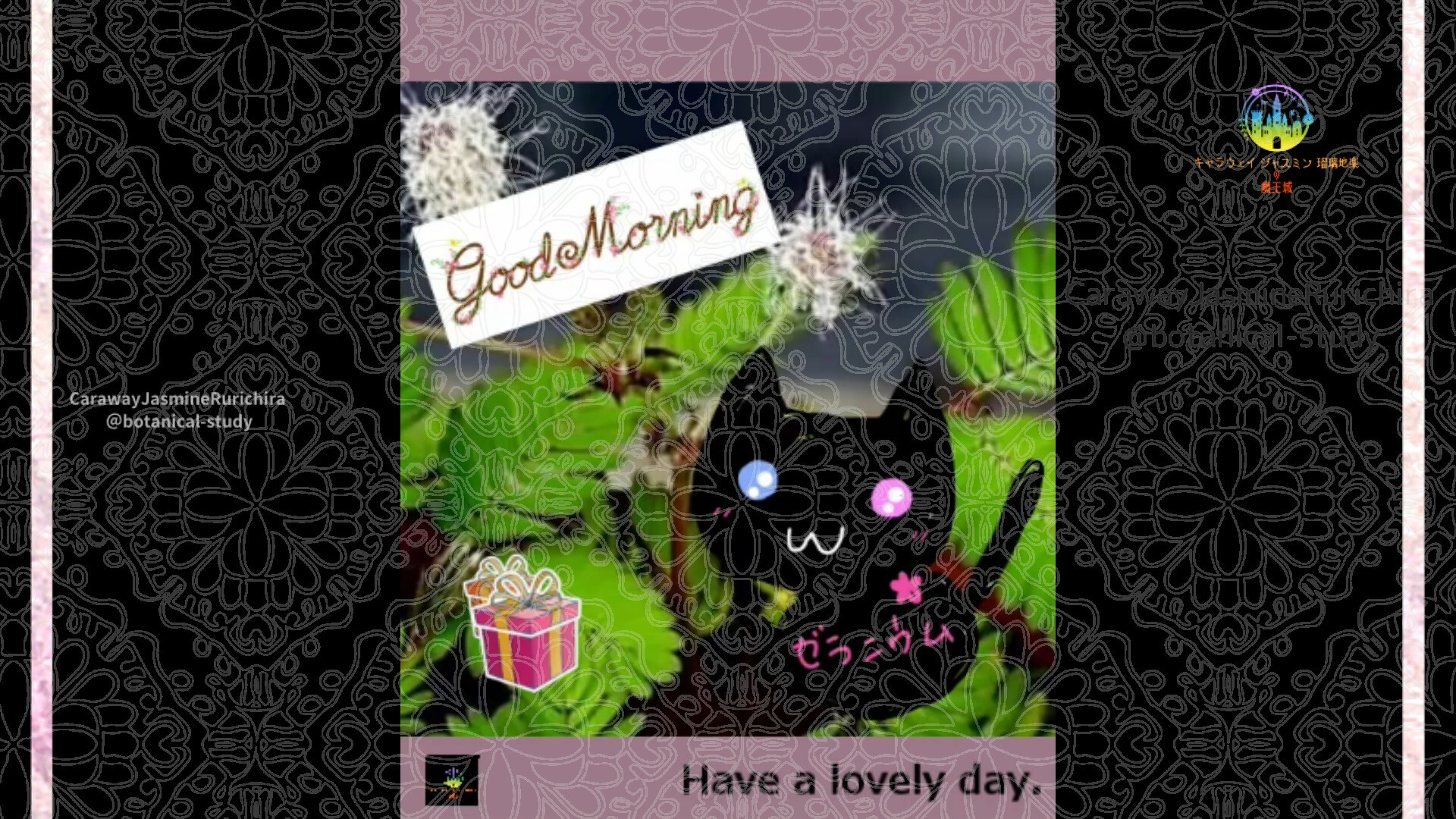 1月26日誕生花オトギリソウby Cジャスミン瑠璃地楽 | botanical-study.com