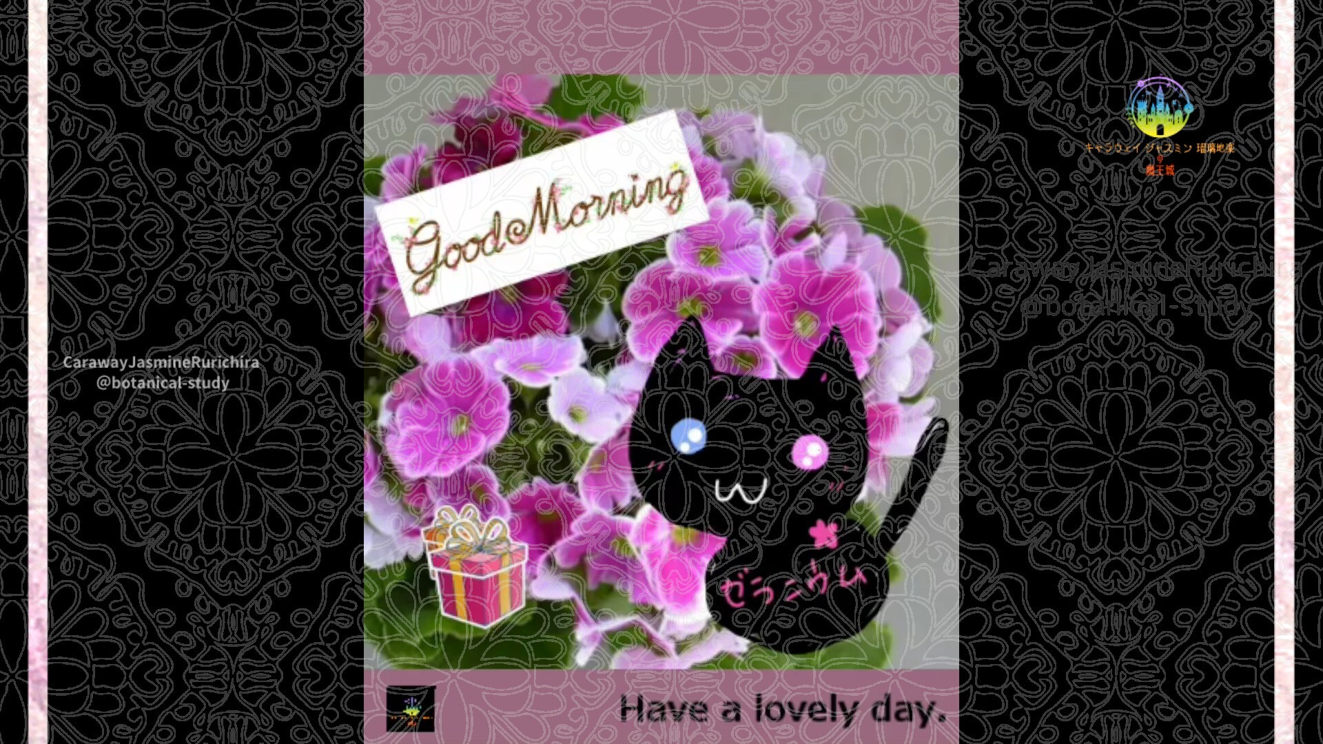 1月25日誕生花プリムラby Cジャスミン瑠璃地楽 | botanical-study.com