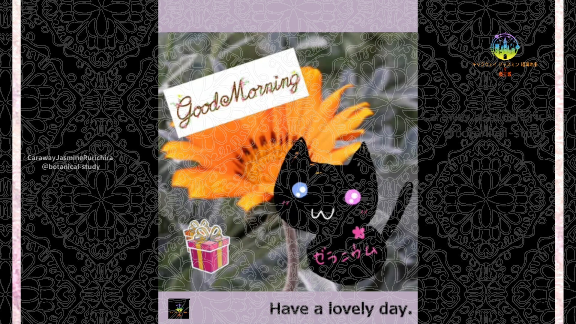 1月28日誕生花ガザニアby Cジャスミン瑠璃地楽 | botanical-study.com