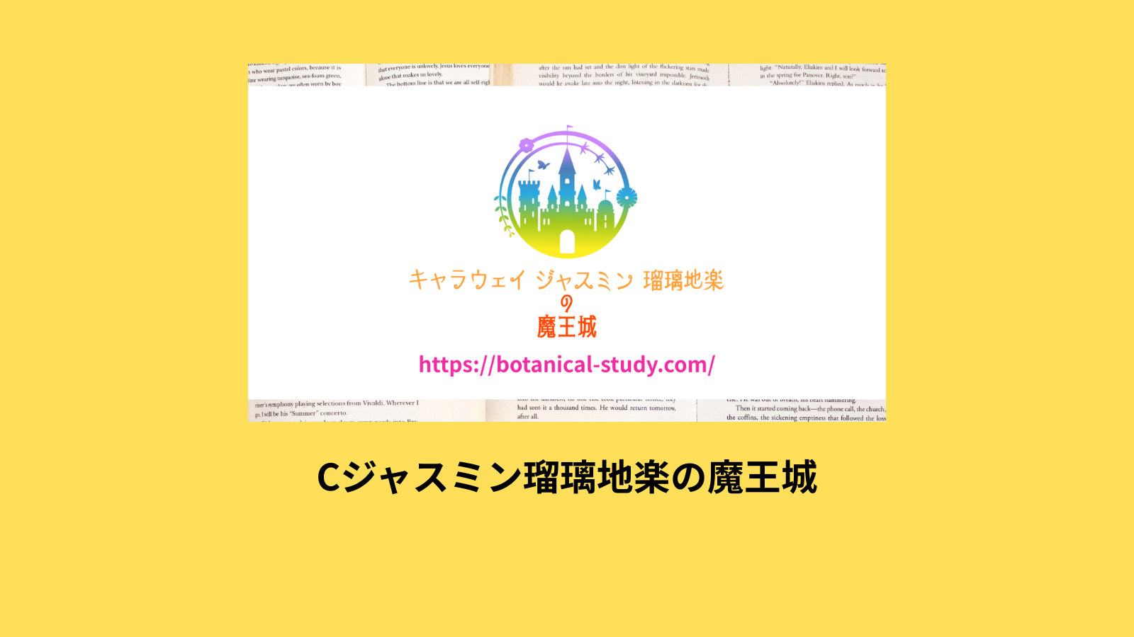 アロマ資格問題サイト＠botanical-study.com