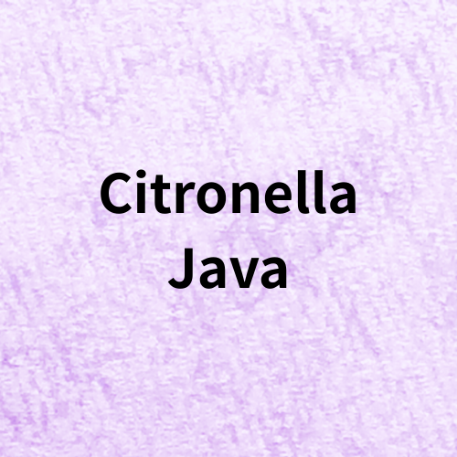 Citronella Java Quiz＠botanical-study.com