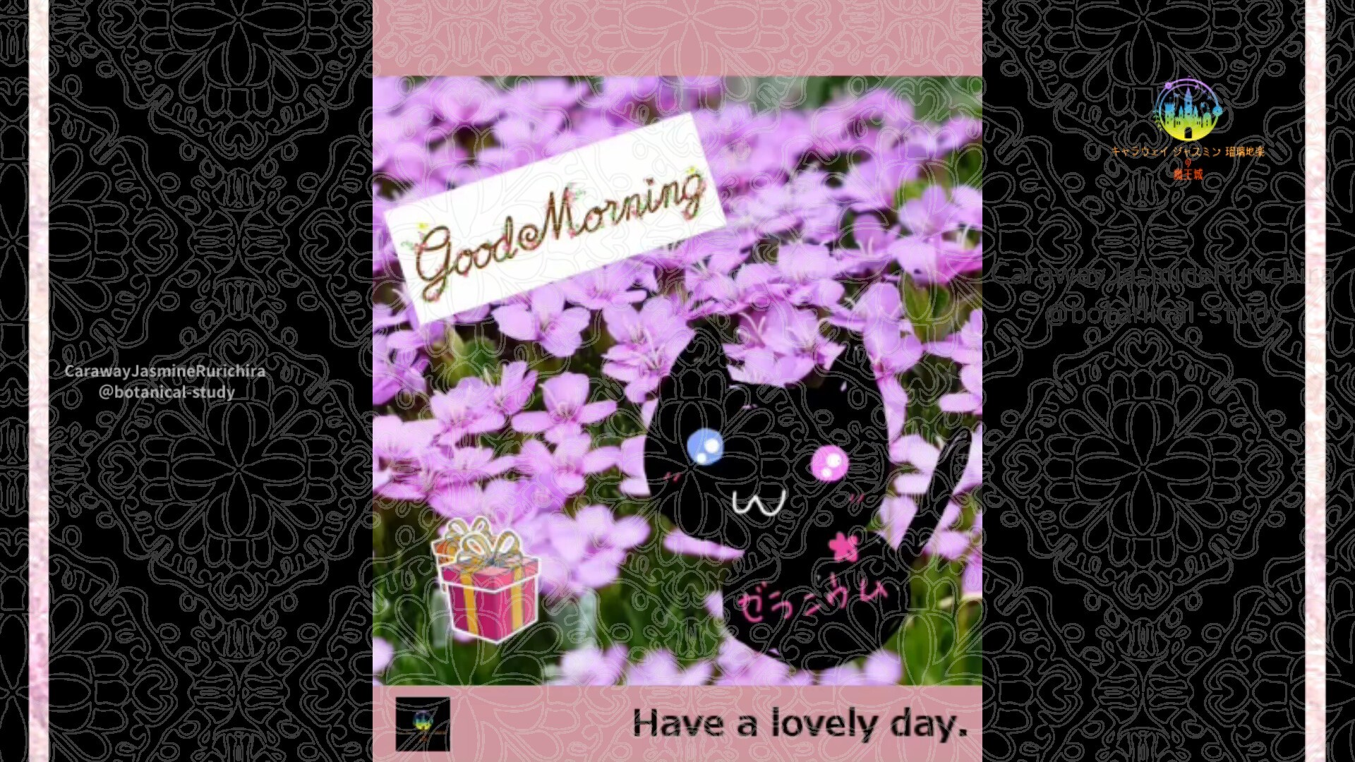 2月19日誕生花プリムラby Cジャスミン瑠璃地楽 | botanical-study.com