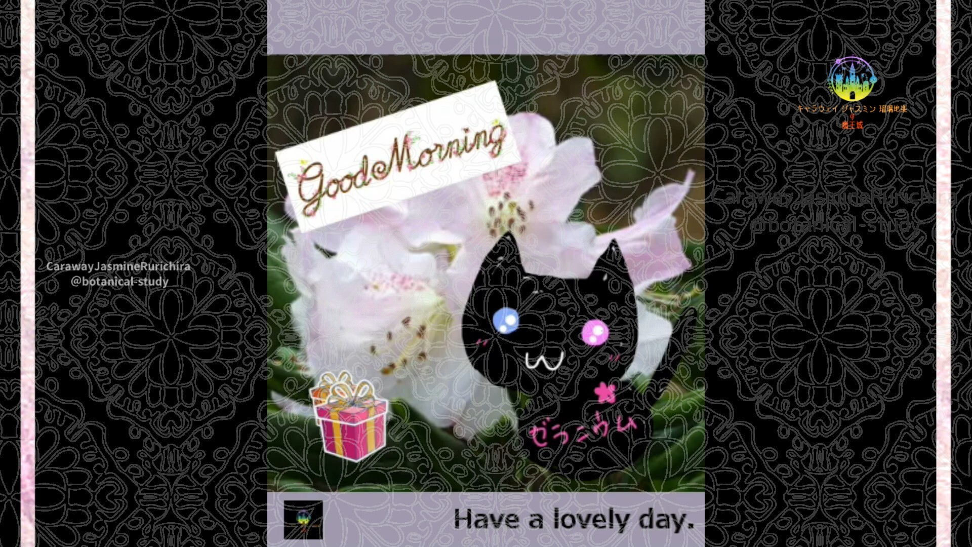 2月20日誕生花シャクナゲby Cジャスミン瑠璃地楽 | botanical-study.com