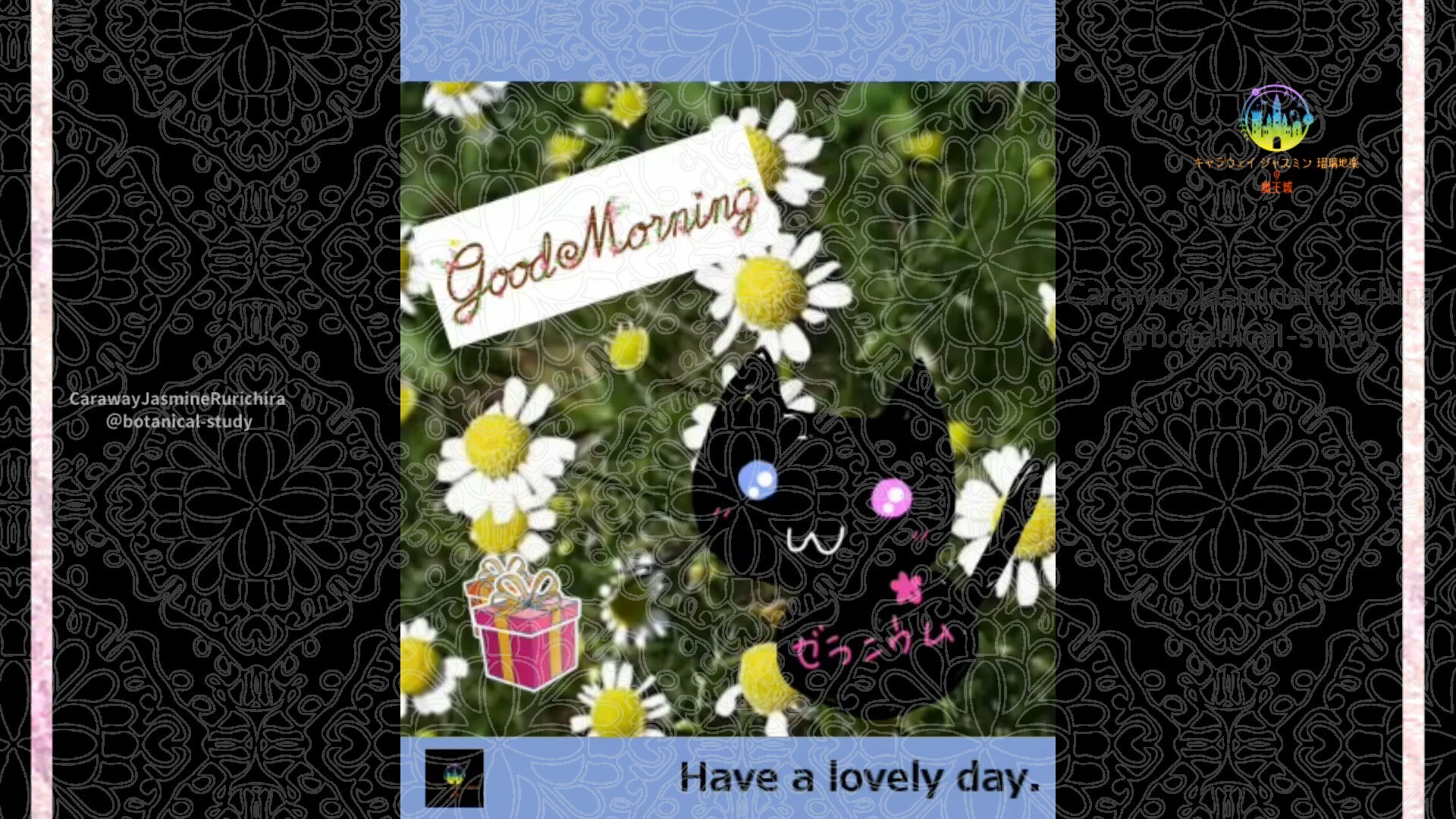 2月14日誕生花カモミールby Cジャスミン瑠璃地楽 | botanical-study.com