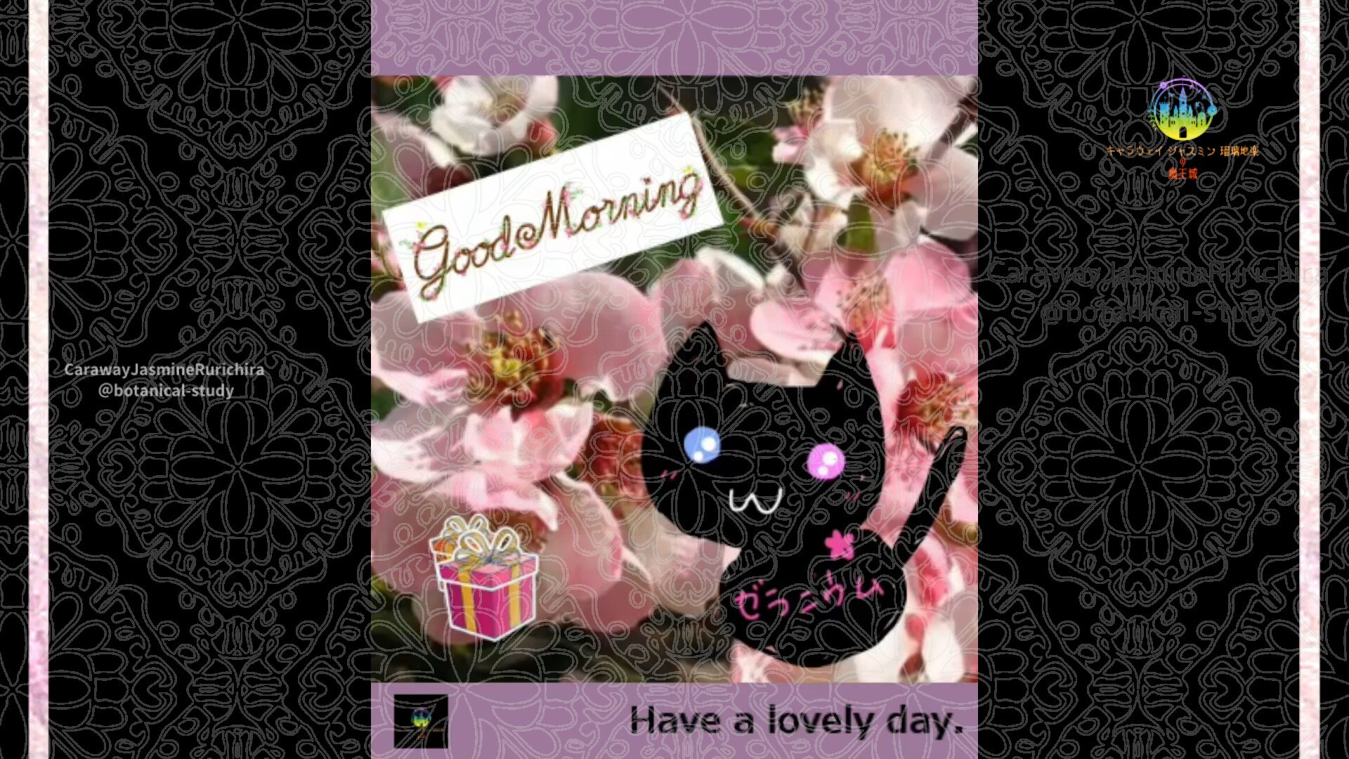 2月17日誕生花ボケby Cジャスミン瑠璃地楽 | botanical-study.com