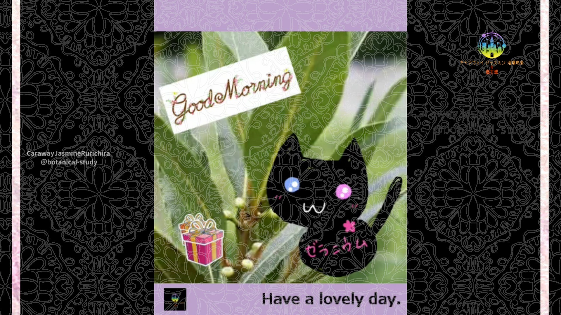 2月16日誕生花ゲッケイジュby Cジャスミン瑠璃地楽 | botanical-study.com