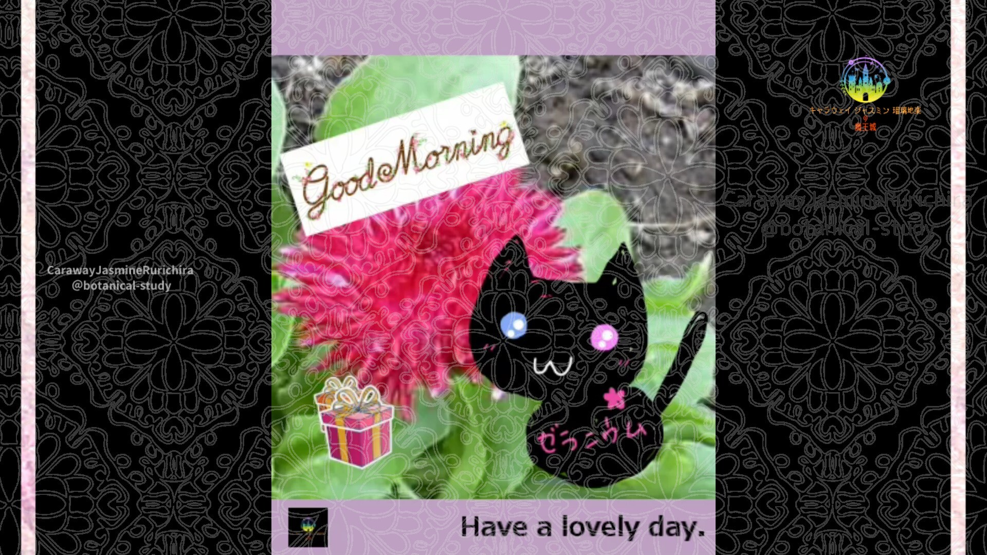 2月15日誕生花デイジーby Cジャスミン瑠璃地楽 | botanical-study.com