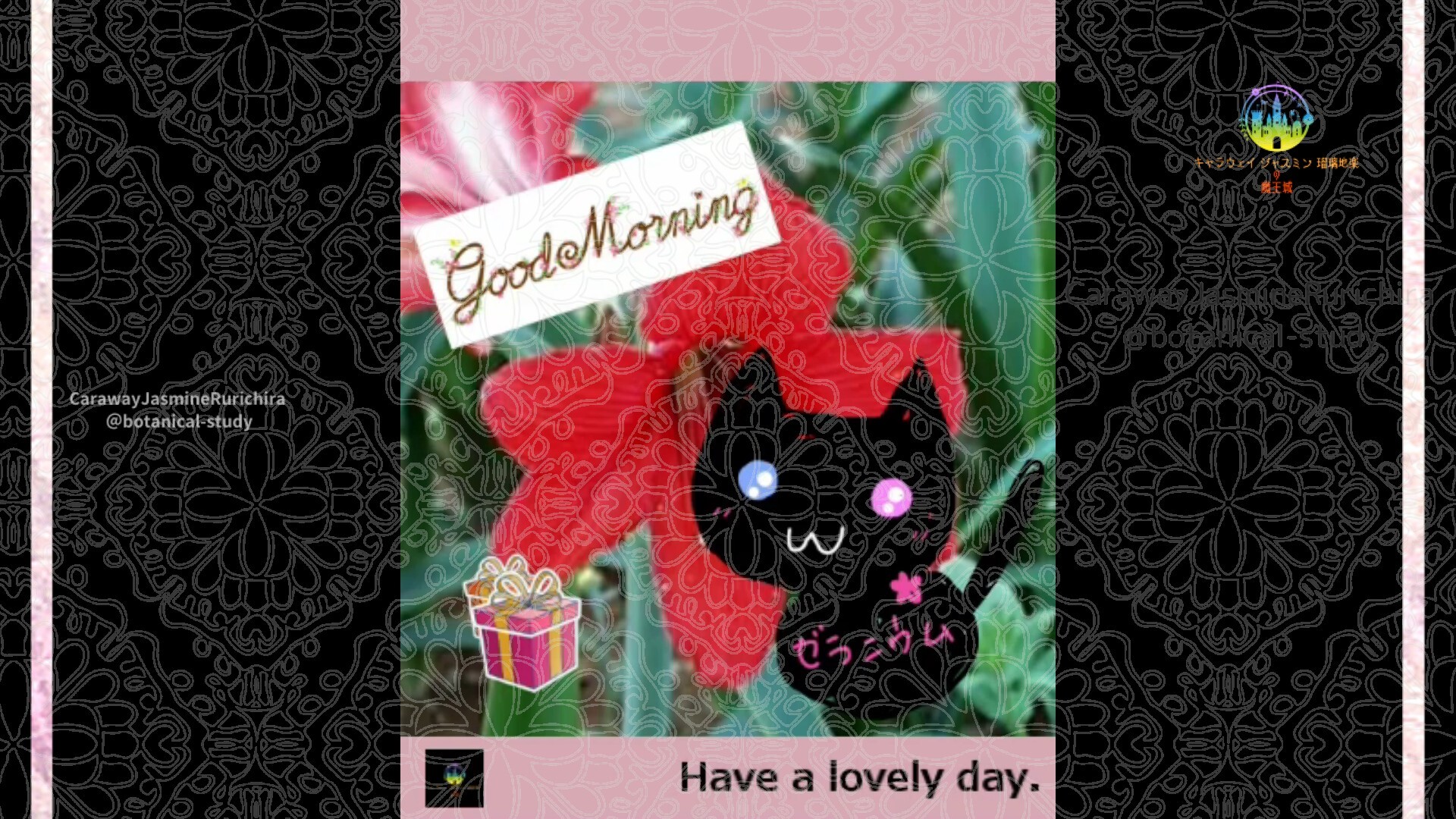 2月24日誕生花アマリリスby Cジャスミン瑠璃地楽 | botanical-study.com