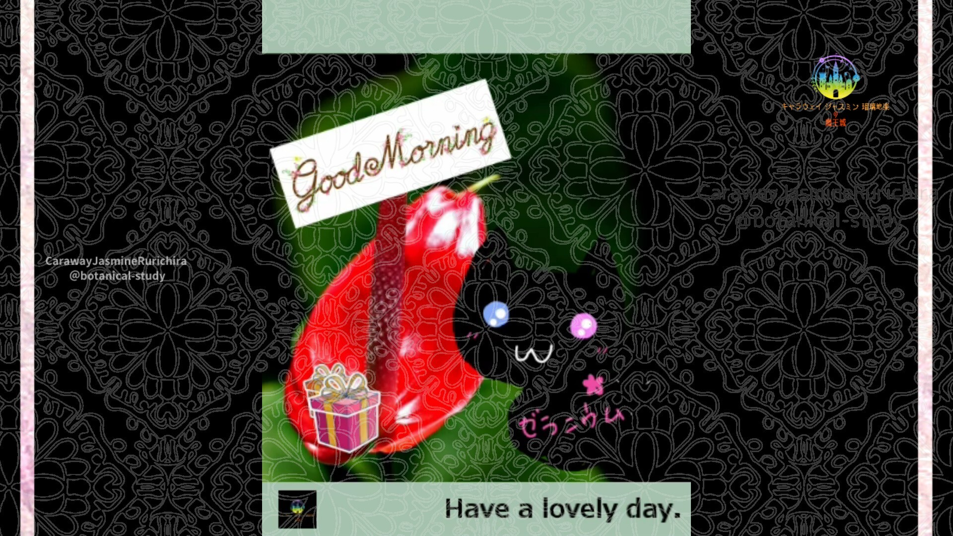 2月22日誕生花アンスリウムby Cジャスミン瑠璃地楽 | botanical-study.com