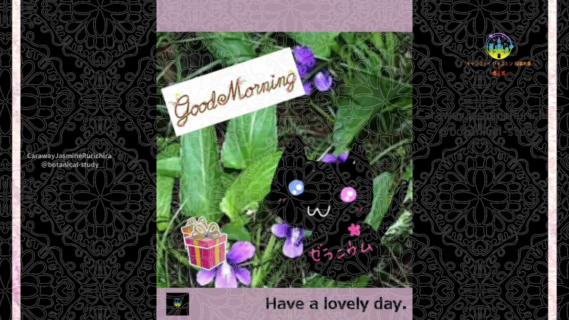 2月21日誕生花スミレby Cジャスミン瑠璃地楽 | botanical-study.com