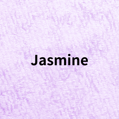 プチ辞典クイズ準備中＠botanical-study.com