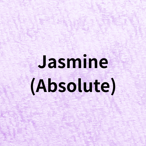 プチ辞典クイズ準備中＠botanical-study.com