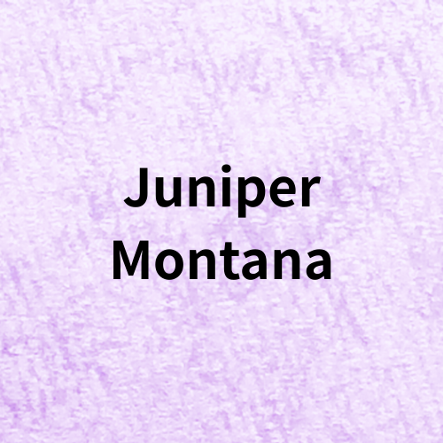 Juniper Montana Quiz(Flower Essences)＠botanical-study.com