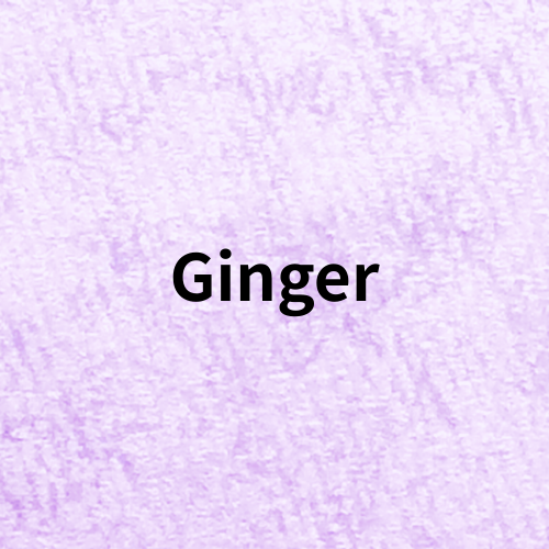 Ginger Quiz＠botanical-study.com
