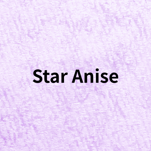 Star Anise Quiz＠botanical-study.com